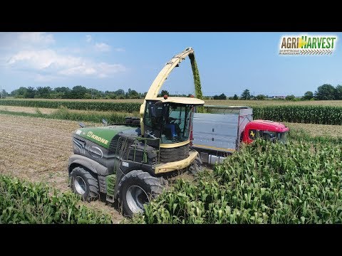 KRONE BIG X 1180 | Silage 2019 | Agriharvest