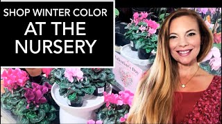 NEW Plant Shopping-Cyclamen And Creative Late Winter Container Ideas