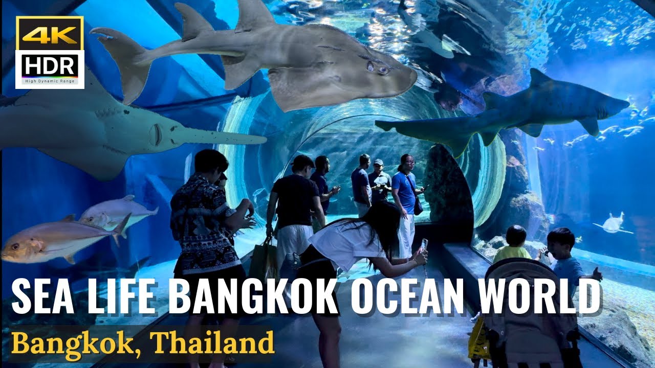 Explore the mesmerizing depths of the Sea Life Bangkok Ocean World on a virtual tour.