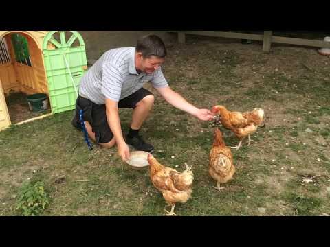 'Walking on Sunshine' at Ysgol Hafren - Class of 2017