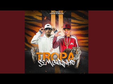 Tropa do Sem Carinho