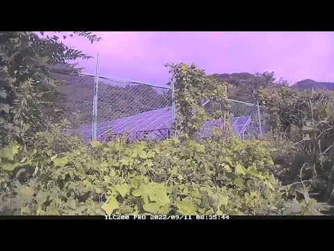 アイビーガード・カラマンコート検証動画2023 04 18