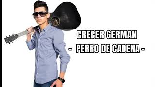 Crecer jerman ()perro de cadena