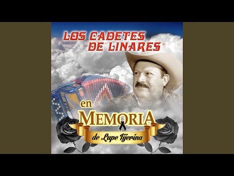 Miniatura de Despedida Con Mariachi
