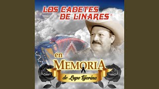 Despedida con Mariachi