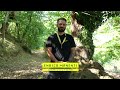 titolo video