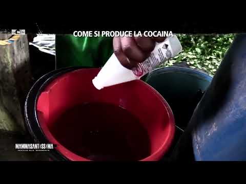 Cocaina, ecco come nasce l'oro bianco gestito dalla 'ndrangheta - Mammasantissima