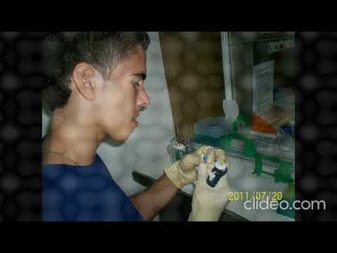 Centro Nacional de Entrenamiento, La Habana 2011