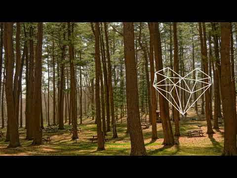 Township Rebellion - Baud (Remastered) [Melodic House / Stil Vor Talent]