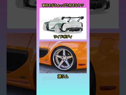 車好きが好きなヤツ #shorts #車好き #カスタム #あるある #gtr #スポーツカー