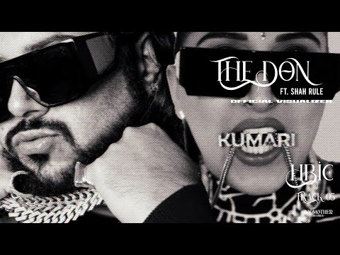 RAJA KUMARI - THE DON FT. SHAH RULE (OFFICIAL VISUALIZER)
