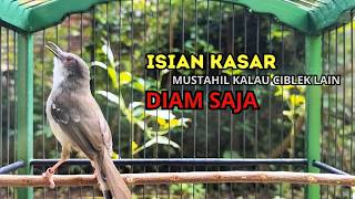Download lagu CIBLEK GACOR NGEBREN variasi melimpah buat Pancingan Ciblek Semi bahan jadikan ciblek kristal gacor mp3