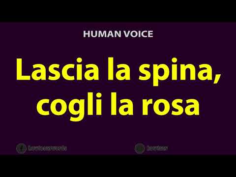 How To Pronounce Lascia la spina, cogli la rosa