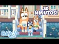 Bem Vindo à Casa Da Bluey Bluey Português Brasil Canal Oficial