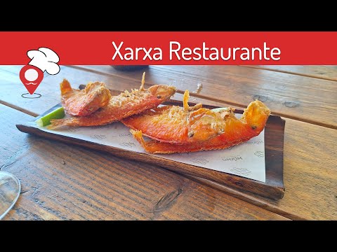 Xarxa restaurante - El Campello - Alicante