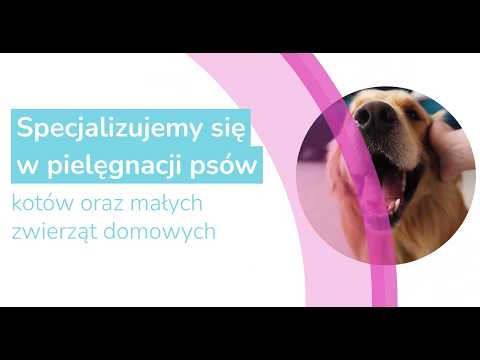 Zobacz filmy, Edyta Pytel Rossi Groom Psi Fryzjer, Leżajsk