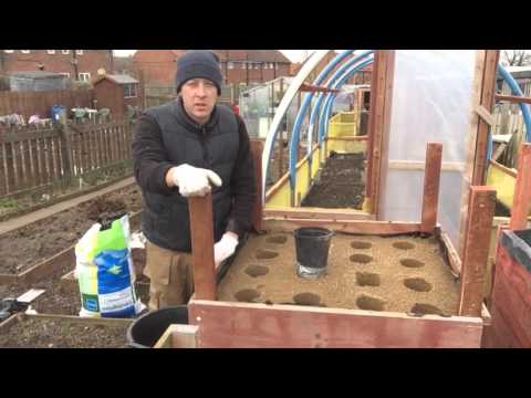 , title : 'Growing Long Parsnips For Exhibition Part 1. Preparing and coring the sand box'