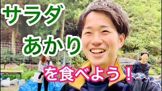 これ↓食べてる!?