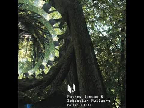 Mathew Jonson & Sebastian Mullaert - Pollen 4 Life (Dub Mix) (Hypercolour)