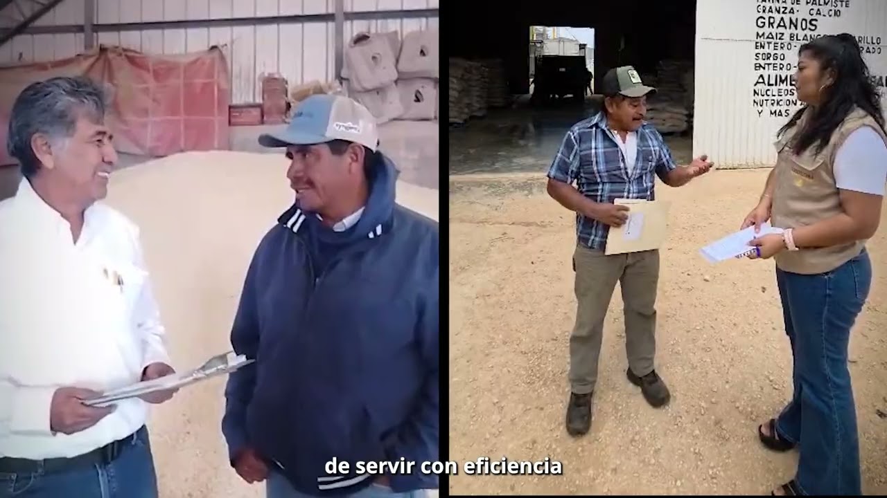 Avanzamos con la entrega de incentivos para productoras y productores de maíz blanco.