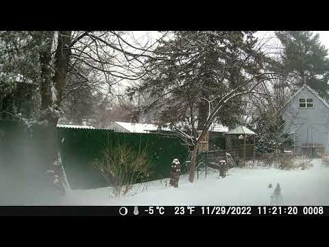 Snowing in Minneapolis (time lapse) Nov 29 2022