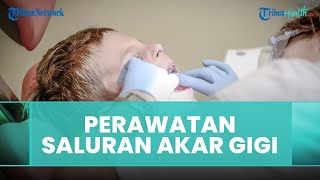 Faktor-faktor yang Mempengaruhi Perawatan Saluran Akar Gigi