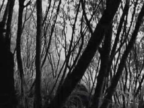 Gorjeo Seglar - La Bruja Maldita