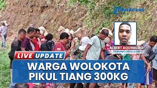 Demi Listrik Menyala di Desa Wolokota Ende NTT, Warga Rela Gotong Royong Angkut Tiang 300 Kg
