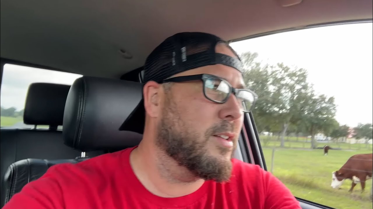 IT COULD HAVE BEEN SO MUCH WORSE