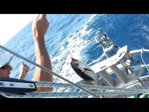 Classic 46 ft Yawl for sale