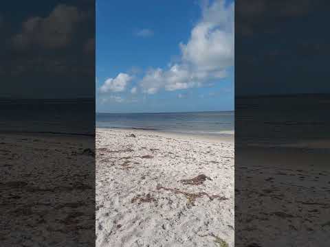 Praia de Ponta de Pedras - Goiana  - PE