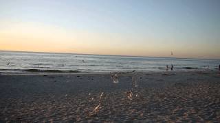 preview picture of video 'Międzywodzie, Sunset. Mewy na plaży o zachodzie słońca. Morze Bałtyckie.'