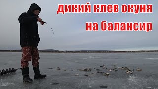 Зимняя рыбалка на гусинке 2019