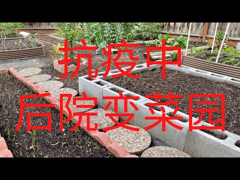家裡後院