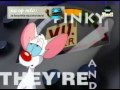 Pinky and the Brain - Intro [Dutch] 