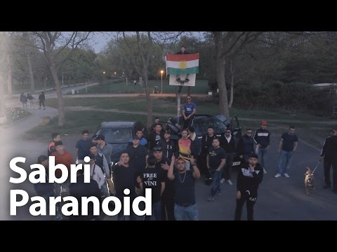 Sabri - Paranoid