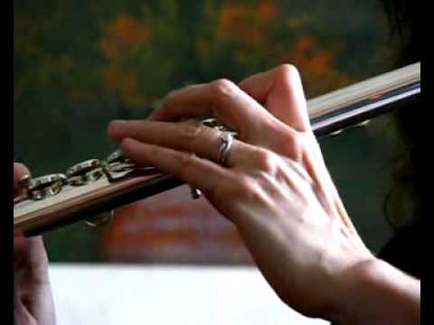 Yamaha 581 ( 684) Used Flute For Sale  - How to Buy a Used Flute