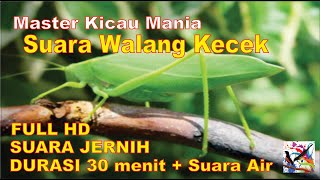 Download lagu Masteran Murai, Suara Belalang Kecek Durasi Panjang   Terapi Suara Air Mengalir...FULL HD...!!! mp3