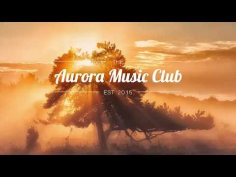 Completions - One Quiet Down | Aurora Music Club