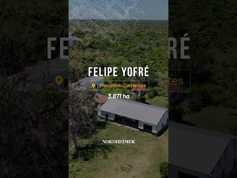 Felipe Yofre, Mercedes, Corrientes - 3871 ha | Campo en venta