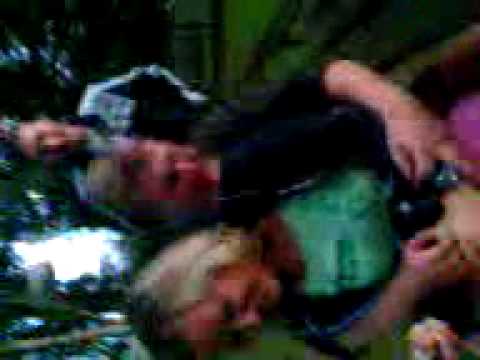 Bitka ve Hřivicích