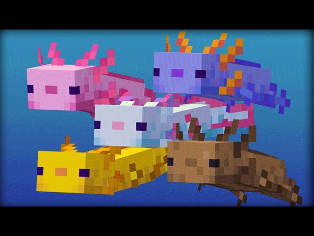 List of changes to Minecraft Axolotls in 1.17.10 Bedrock