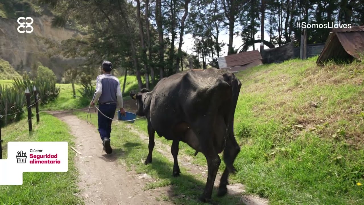 Conoce los beneficios del Clúster de Seguridad Alimentaria