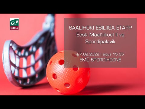 Meeste saalihoki esiliiga