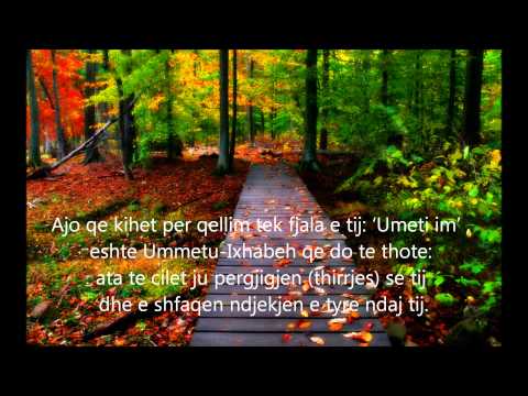 Shejkh bin Bazi e konsideron Xhematin Tablig dhe Vllazerin Muslimane prej sekteve te humbura