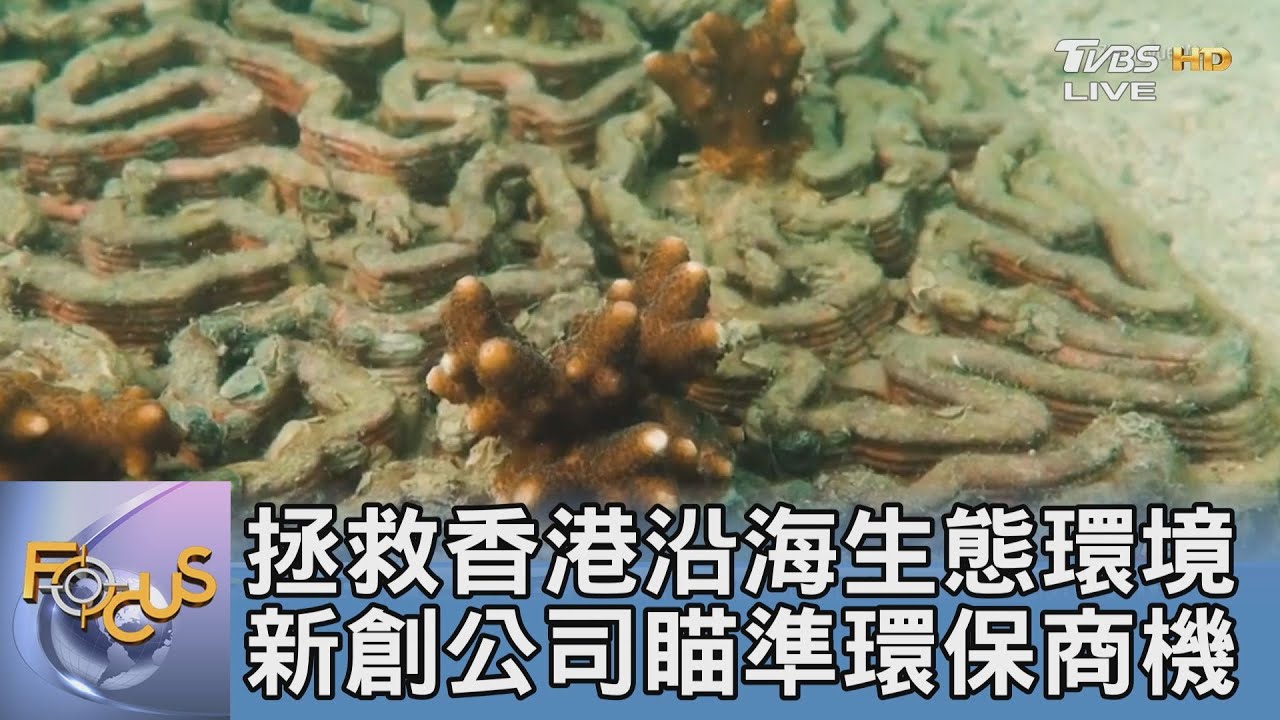 拯救香港沿海生態環境 新創公司瞄準環保商機
