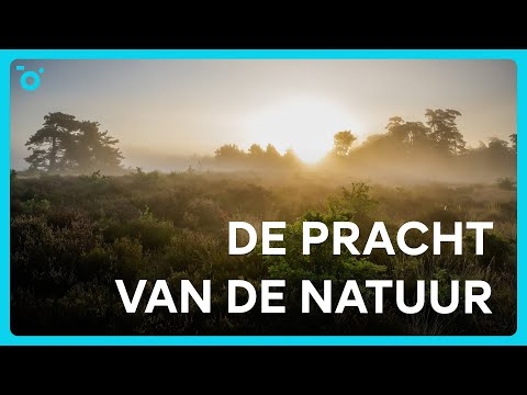 Een adembenemende zonsopkomst vastgelegd met de Sony A6700