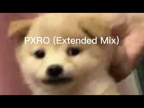 PXRO (Extended) Mix şarkı 🎵 ( PXRO (Extended) Mix )