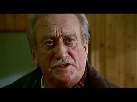 Bienzle und der Traum vom Glück