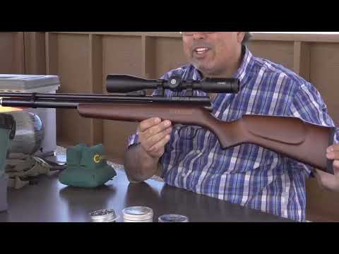Top 10 Affordable PCP Air Rifles 2023 - Top Best PCP Air Rifle